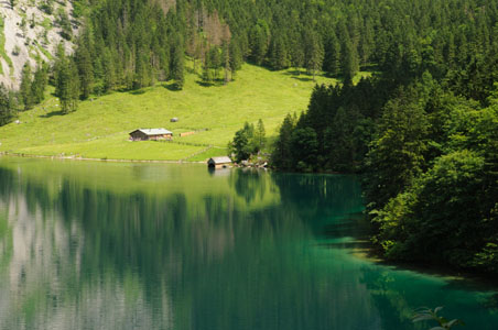 Alpine Meadow, Konigsee